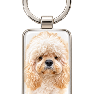 Pet Portrait Key