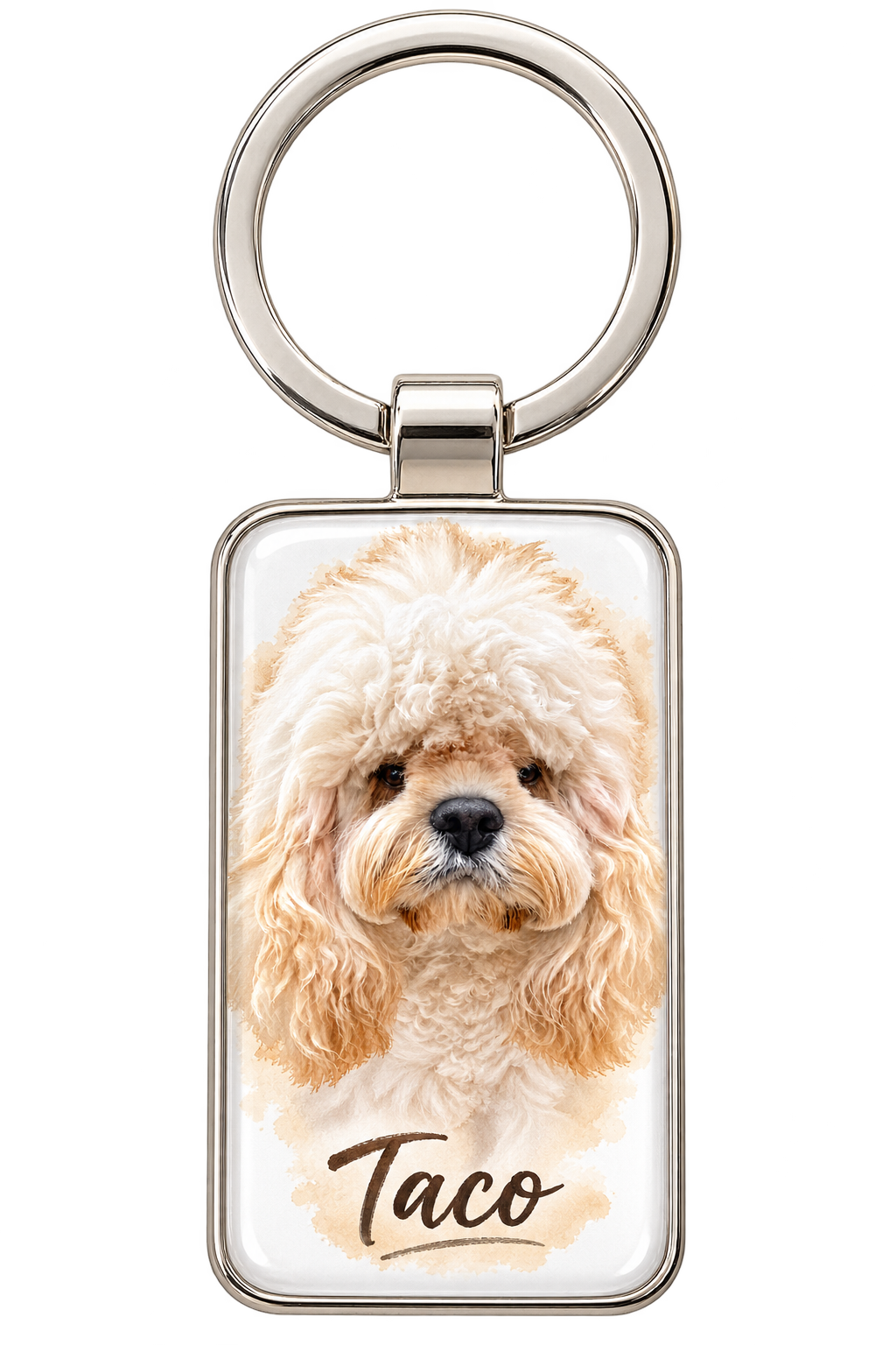 Pet Portrait Key